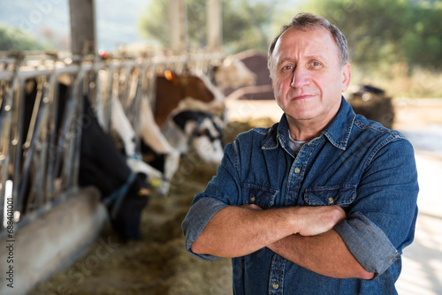 Portrait of successful mature male farmer in cowshed