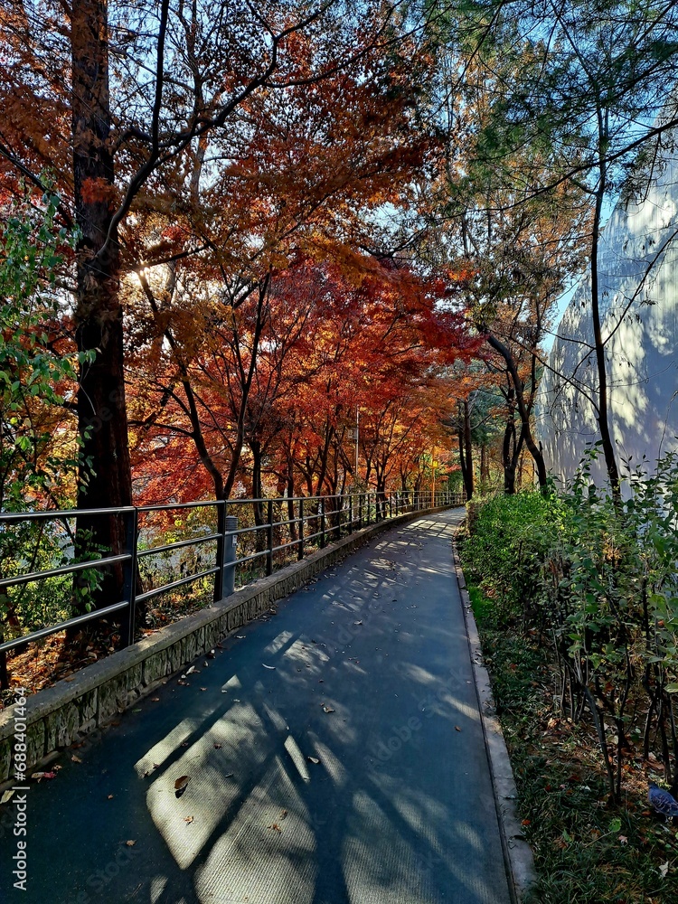 Romantic autumn pathway in the city forest - Beauty in colorful nature and autumn leaves