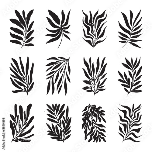 Abstract leaves silhouette illustration vector © fitradp