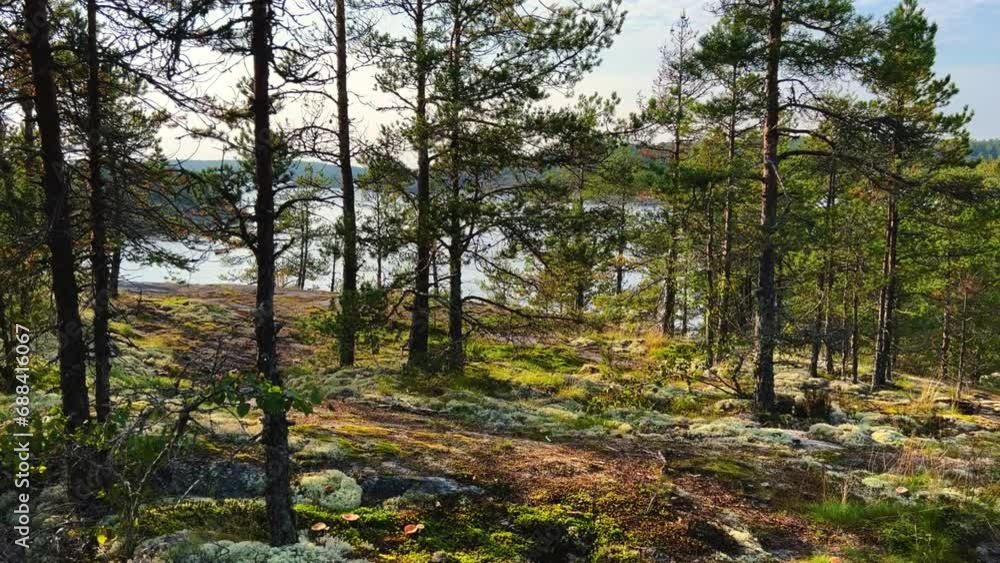 Russia, Lake Ladoga, Koyonsaari. View of the coast of the island with white moss and stones. Beautiful nature of the Republic of Karelia. Skerry islands on a sunny day. 4K Russia, Lake Ladoga, Koyonsaari. View of the coast of the island with white moss and stones. Beautiful nature of the Republic of Karelia. Skerry islands on a sunny day. 4K