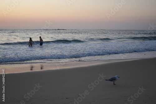 People walking on the beach at sunrise, Bondi Beach, Sydney Australia 