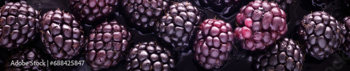 An Overhead Photo of Fresh Boysenberry Covered in Water Drops photo