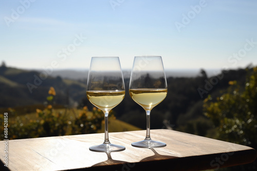 Wineglass on a Wood Table, Italian Wine, Glass of White Wine