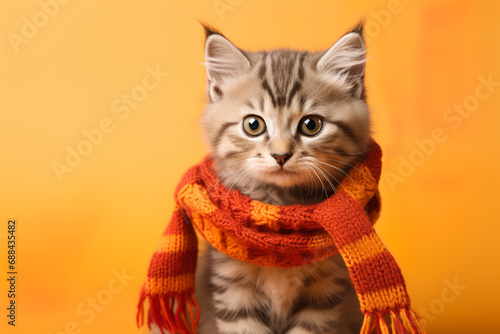 Funny cat in a hat and scarf on an autumn background. © erika8213