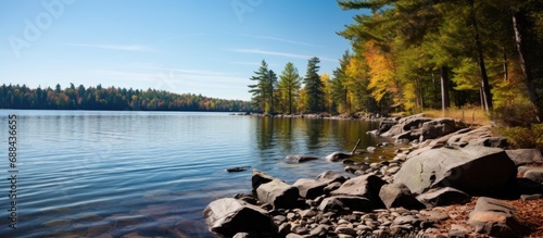 Photographs of Bala and Muskoka lakes in Northern Ontario, featuring winery, landmarks, and natural landscapes like rivers, lakes, trees, foliage, mushrooms, and reserves. photo
