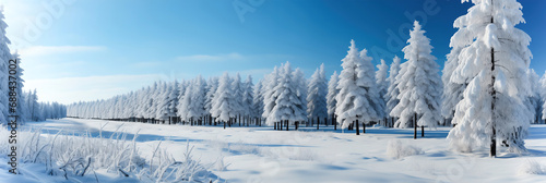 A group of snow covered trees in a forest. Winter pattern background. © Degimages