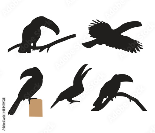 Free vector toucan bird silhouette set