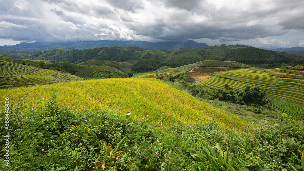 Landscape with green and yellow rice terraced fields and cloudy sky near Yen Bai province, North-Vietnam Landscape with green and yellow rice terraced fields and cloudy sky near Yen Bai province, North-Vietnam