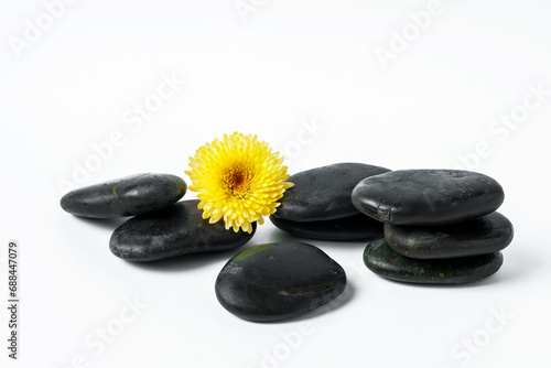 Spa stones and flowers on the white background