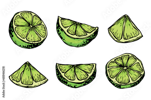Vector lime clipart. Hand drawn citrus set. Fruit illustration. For print, web, design, decor