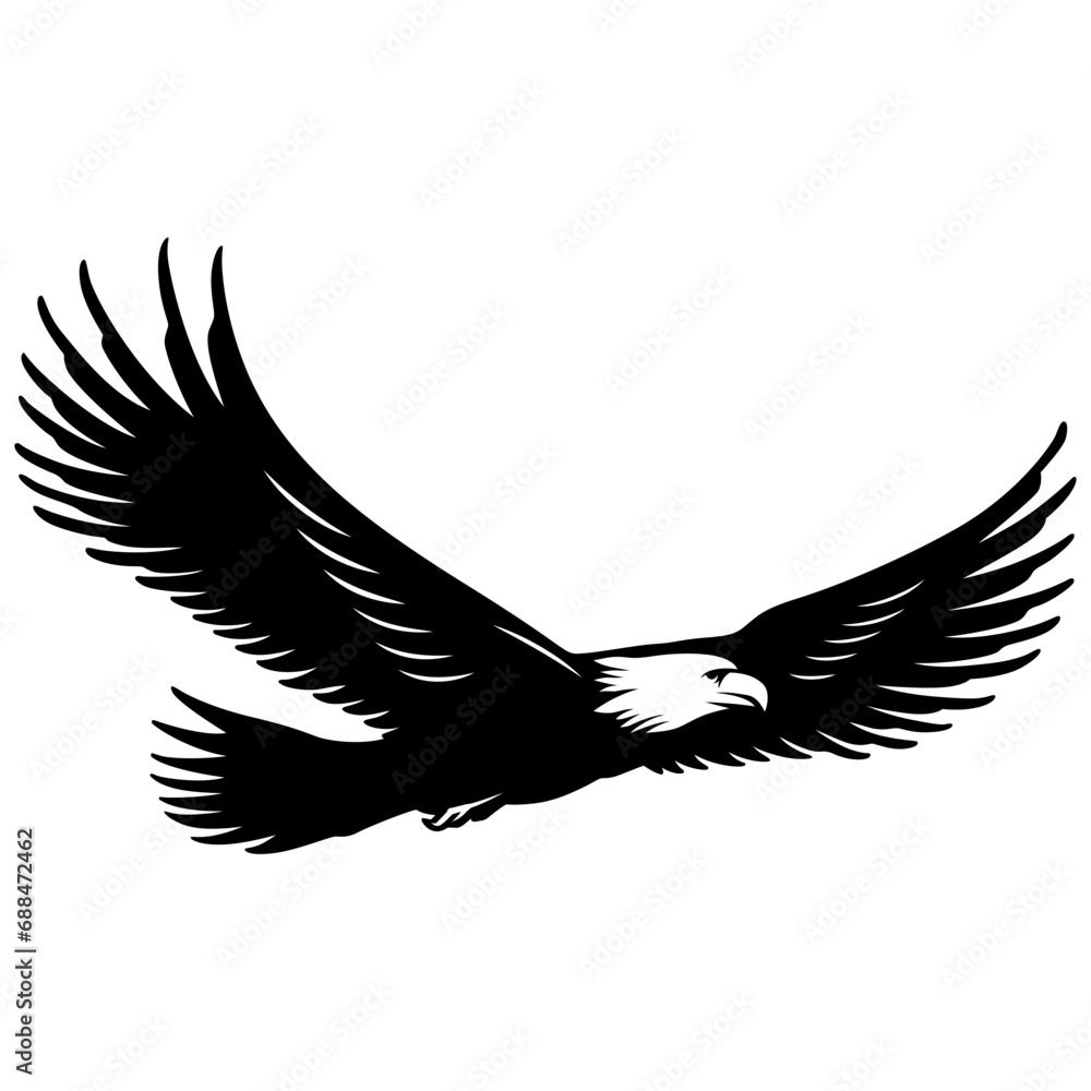 Obraz premium flying eagle