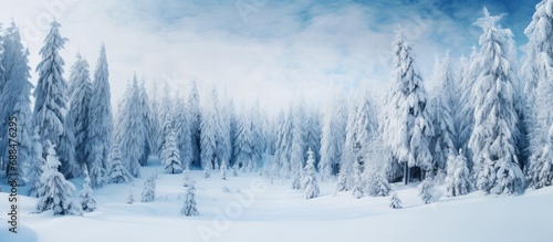 Snowy Winter. Winter Atmosphere © jambulart