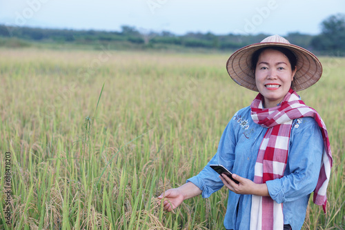 Happy Asian woman farmer is at paddy field, wears hat, blue shirt and Thai loincloth scarf, holds smartphone, inspect rice plants. Concept, agriculture occupation. Use online apps to promote crops.   