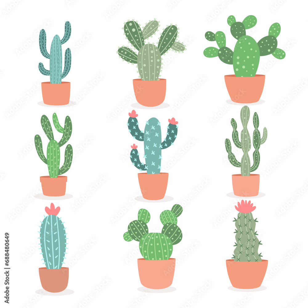 CACTUS SUCCULENT CACTUS SUCCULENT