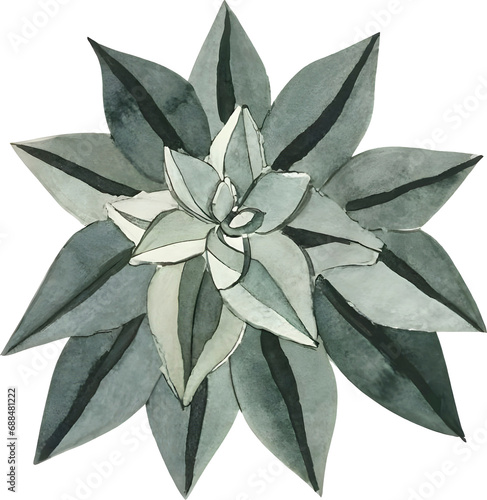 Digital painting flower with leaves on transparent background