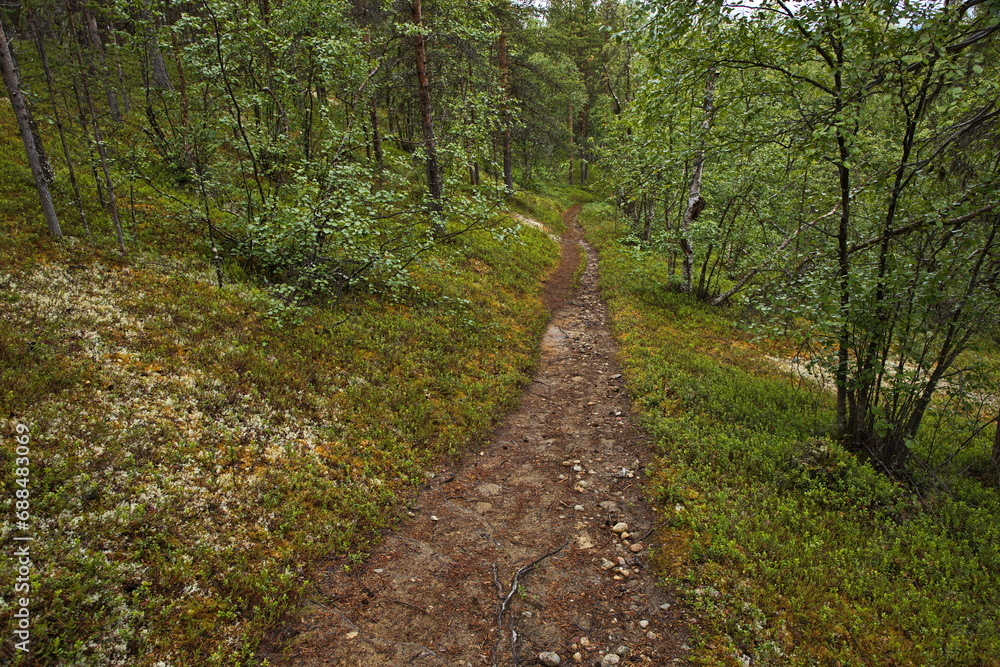Tuuruharju trail at Kaamanen, Finland, Europe
