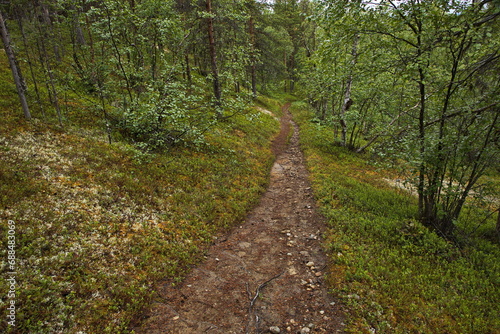 Tuuruharju trail at Kaamanen, Finland, Europe 