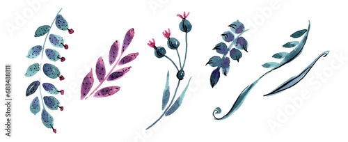 Fantasy botanical illustration. A set of magic branches with round and pointed leaves and a black dot, a branch with unopened flowers and elements of blades of grass.Hand drawn watercolor illustration