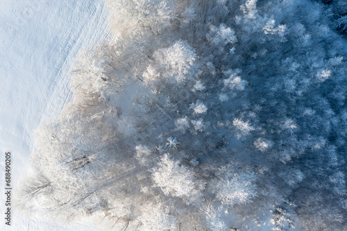 Morning aerial view of the winter forest. Top view of snow-covered trees. Beautiful northern nature. Ecological tourism in the woodland. Wide natural background. Aerial shot of trees covered in snow