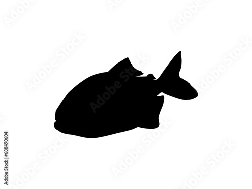 Piranha Fish Silhouette, can use for Logo Gram, Website, Art Illustration, Pictogram, Icon or Graphic Design Element. Vector Illustration 