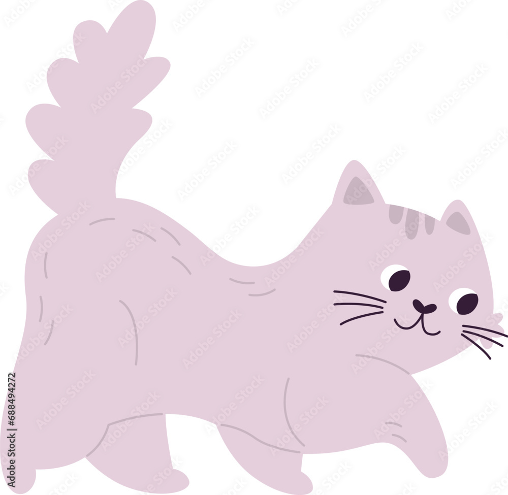 Cat Walking Pet Cat Walking Pet