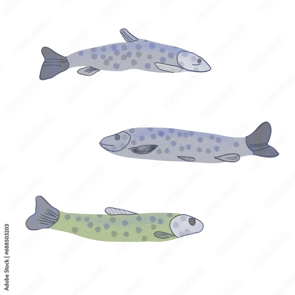 Obraz premium Set of trout fish,wonderful fish clipart