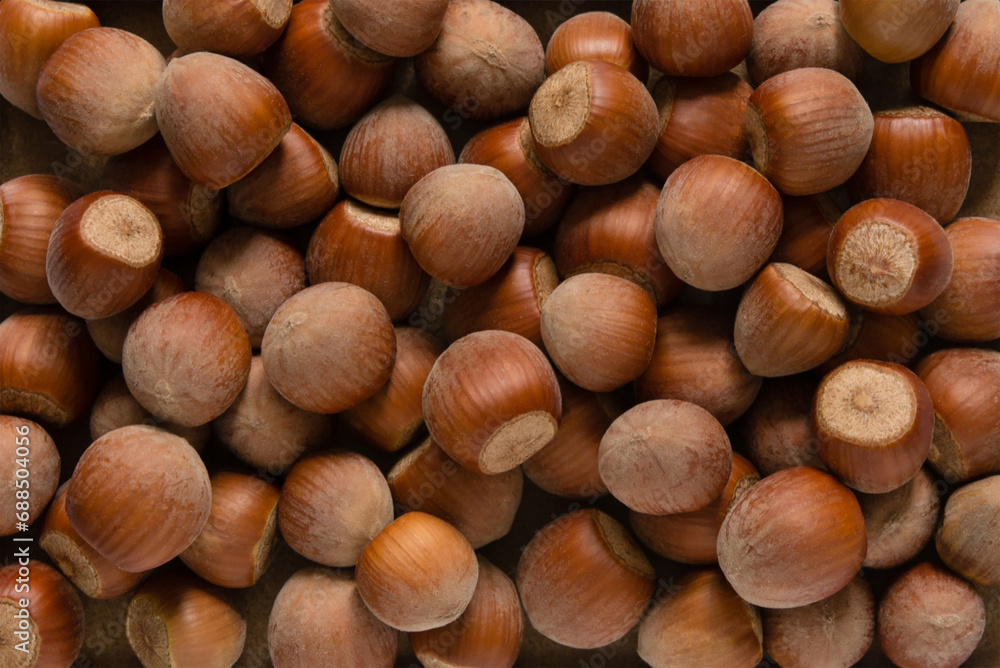 Hazelnut background. Hazelnut kernels in shell. Hazelnut background. Hazelnut kernels in shell.