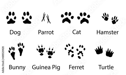 Vector set illustration of domestic animal , pets paw prints , black on white ,dog , cat , parrot , hamster ,bunny ,guinea pig ,ferret ,turtle for different design uses , card , book , banner photo