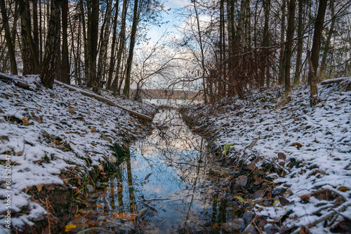 Tychy Nature Forest with small mirrored water creeks 