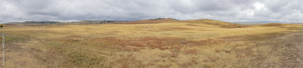 Fototapeta premium Wide panorama around the buffalo roundup parking in the Custer State Park, South Dakota