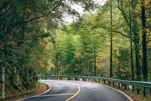 Forest winding mountain road in autumn