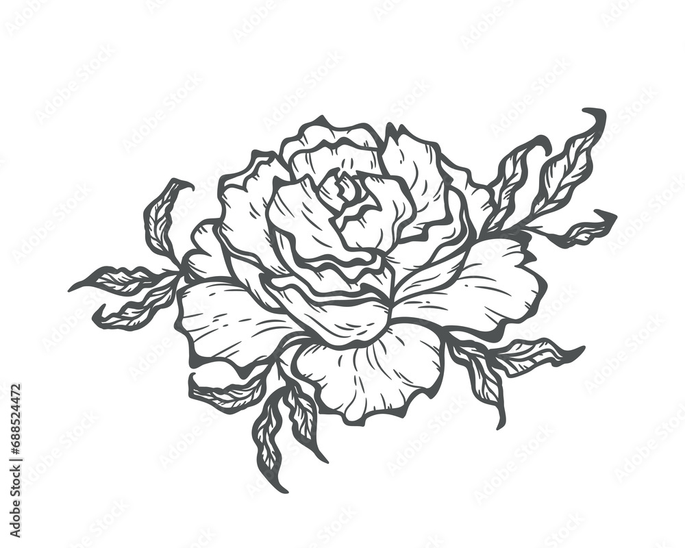 Obraz premium Vector Tattoo Design Rose Flower Bud. Black and White Outline Drawing.