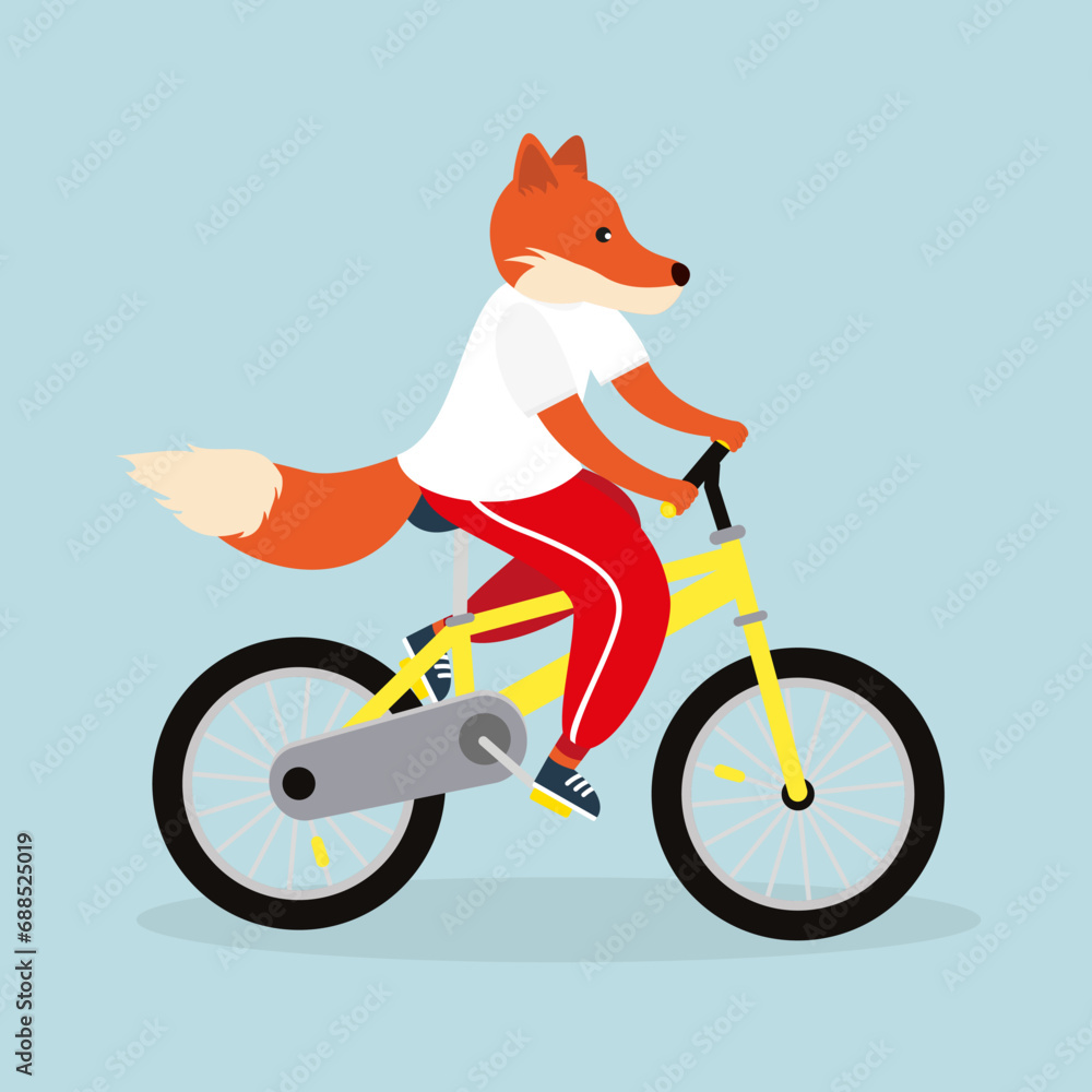Fototapeta premium Fox cyclist riding a bike