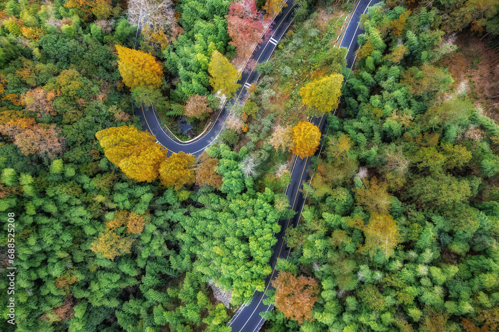 Aerial photography of outdoor forest winding mountain roads