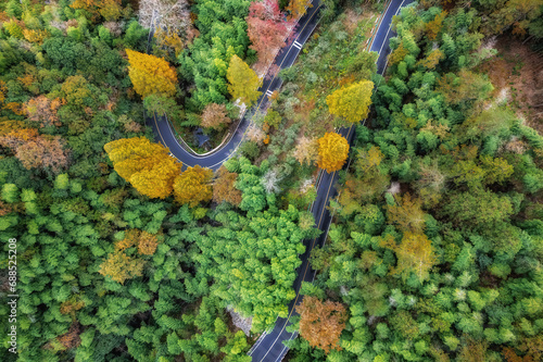Aerial photography of outdoor forest winding mountain roads © 昊 周