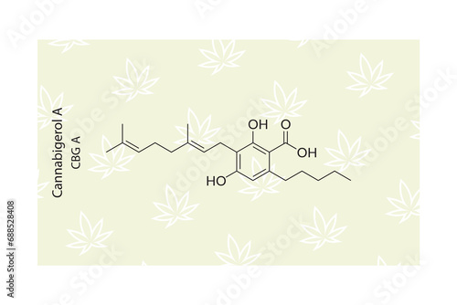 CBG A - Cannabigerol A molecular skeletal structure. Cannabinoid chemical structure vector illustration on green background.