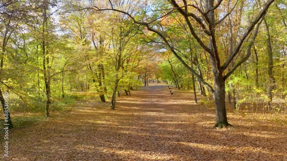 Braunschweig Prinzenpark Herbst Bunt Laub Braunschweig Prinzenpark Herbst Bunt Laub