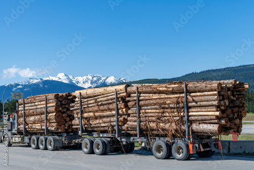 Close up of a long and loaded logging truck on a road in British Columbia, Canada to transport logs to the sawmill or for export with snowcapped mountain range in the background against a blue sky
