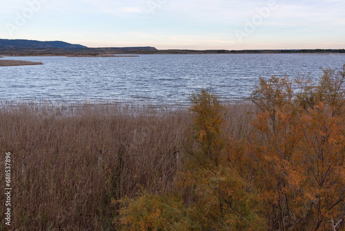 Wetland. Pitillas lagoon, Navarra