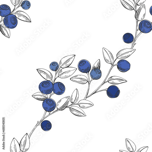 Seamless vector pattern with blueberry on white background.  Vector. Perfect for design templates, wallpaper, wrapping, fabric, print and textile.