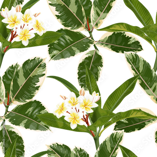 Seamless tropical pattern with plumeria flowers, frangipani and ficus elastica leaves. © dinatychynska