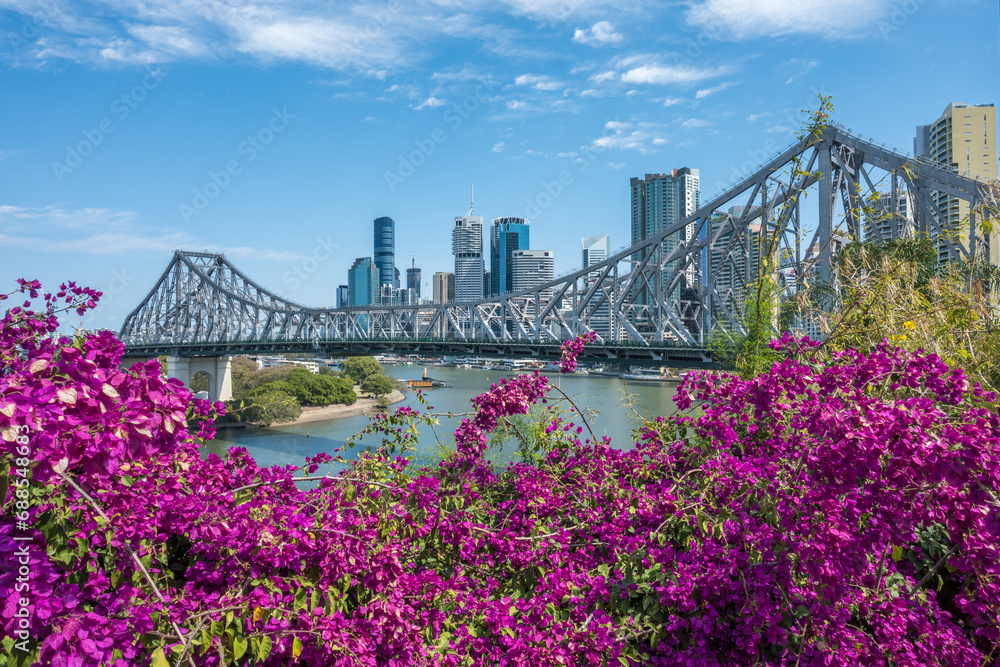 Brisbane skyline behind Story Bridge and pink bougainvillea flowers. - obrazy, fototapety, plakaty 