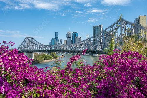 Brisbane skyline behind Story Bridge and pink bougainvillea flowers. © Danica Chang