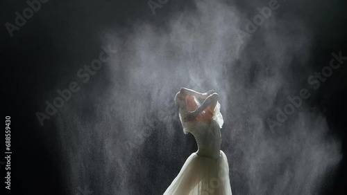 Beautiful dramatic dance, elegant ballerina in a white tutu perform choreographic elements on a black background, dust and haze effect on a dark stage. photo