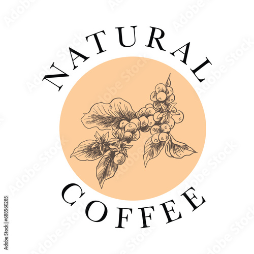 logo design template of coffee tree on sketch ink drawing for label packaging, sticker, poster, promotion, banner, t-shirt, tote bag, stamp.