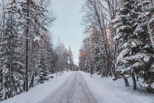 Empty road amidst trees in forest during winter