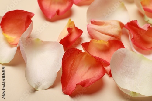 Beautiful rose petals on beige background  closeup