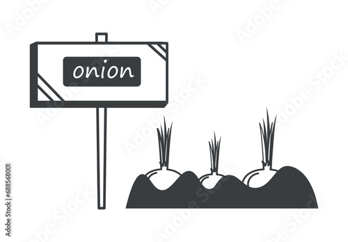Garden element of set in black line design. Demonstration of the world of gardening in this charming illustration, with a black outline highlighting a garden bed of onion. Vector illustration.