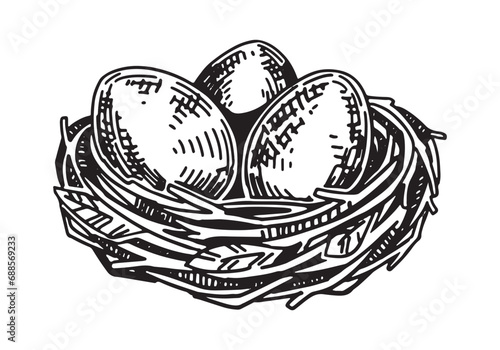 Wild bird nest with eggs outline clipart. Spring time doodle. Vector illustration in engraving style isolated on white.