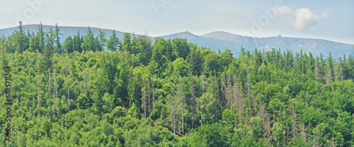 View of the Śnieżka Mountain massif seen from the Chojnik castle